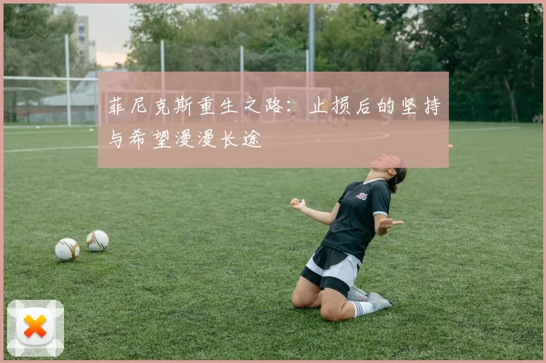 菲尼克斯重生之路：止损后的坚持与希望漫漫长途