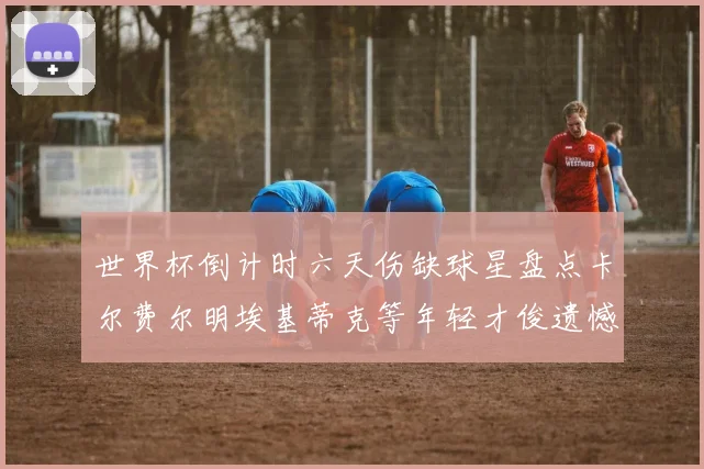 世界杯倒计时六天伤缺球星盘点卡尔费尔明埃基蒂克等年轻才俊遗憾缺席